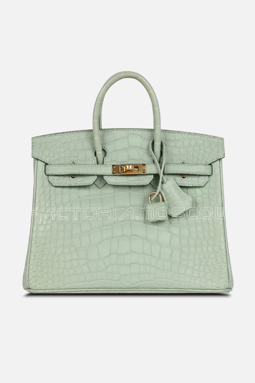Hermès HSS Birkin 25 Vert D’Eau And Vanille Matte Alligator GHW