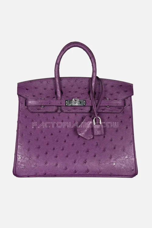 Hermes Birkin 25 Ostrich Colour Anemone Hardware PHW