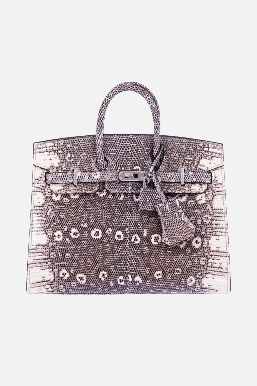 Hermès Birkin 20 Sellier Ombre Varanus Salvator Lizard PHW
