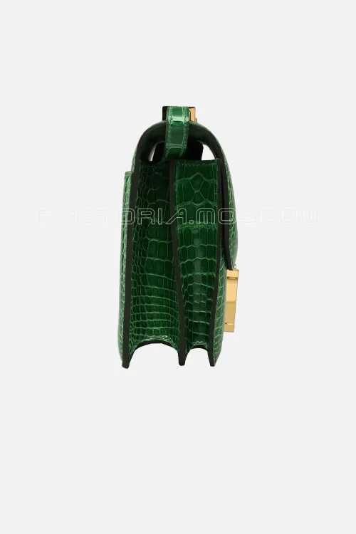 Alligator Lisse