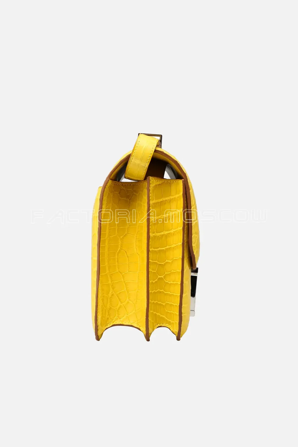 Crocodile Niloticus Matte