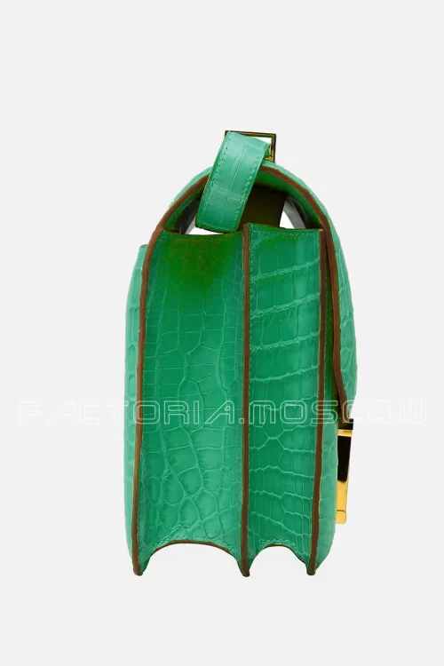 Crocodile Niloticus matte