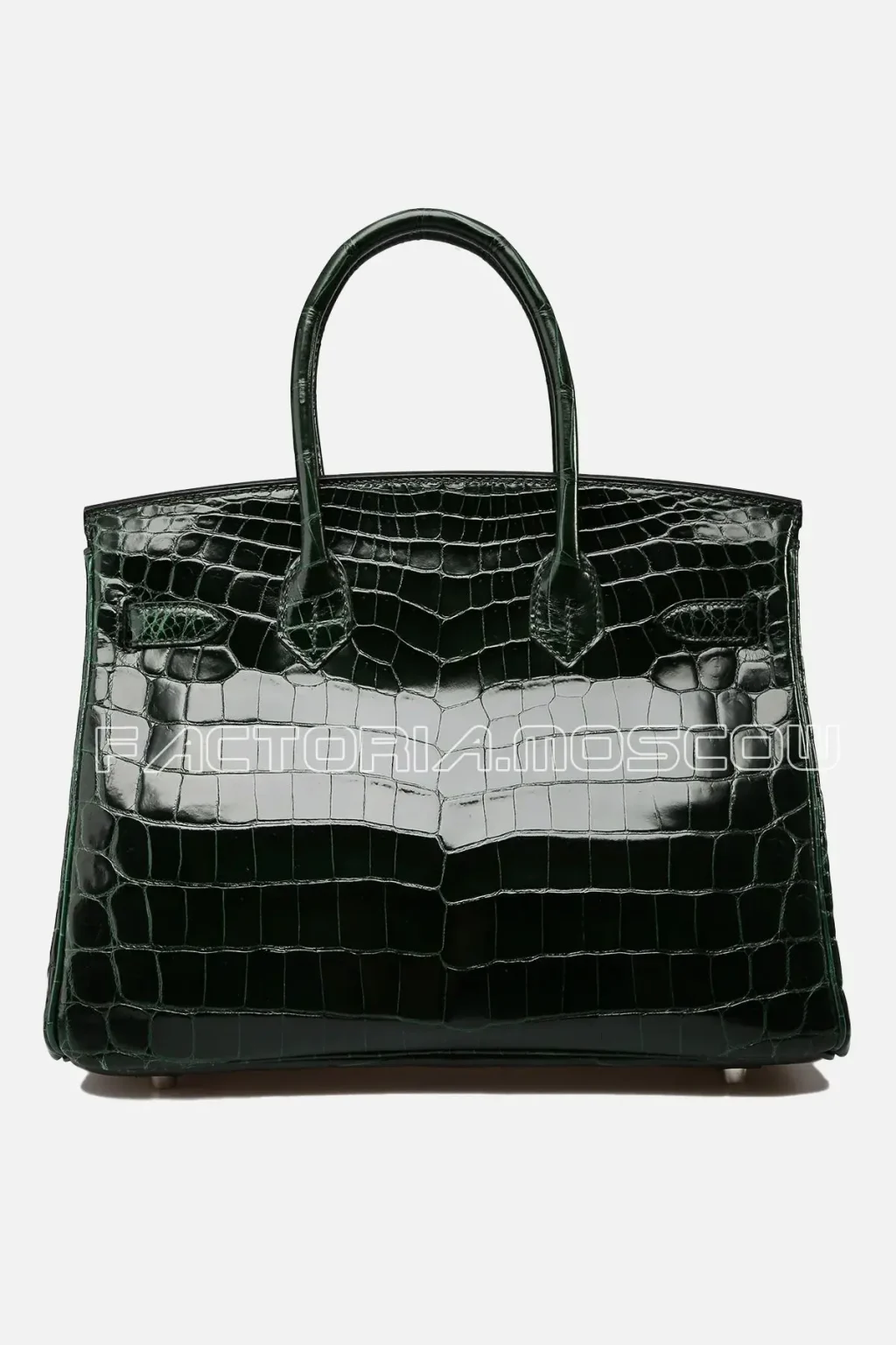 Crocodile Niloticus lisse