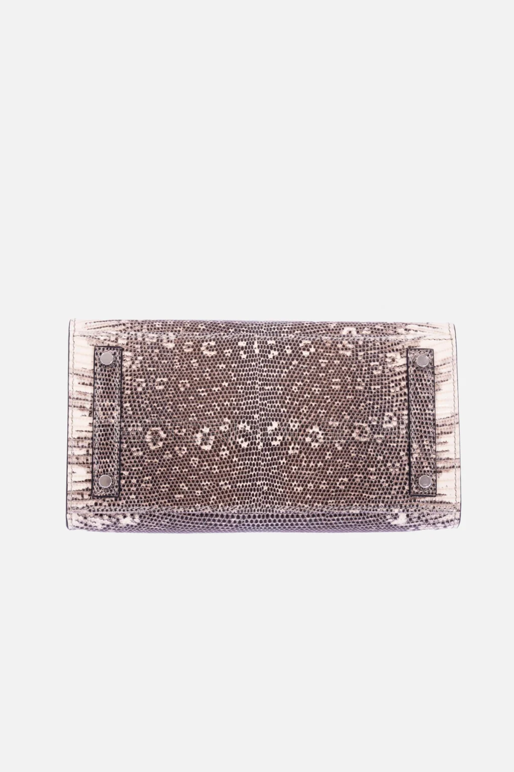 Hermès Birkin 20 Sellier Ombre Varanus Salvator Lizard PHW