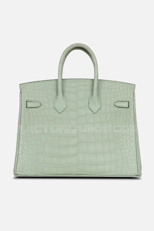 Hermès HSS Birkin 25 Vert D’Eau And Vanille Matte Alligator GHW