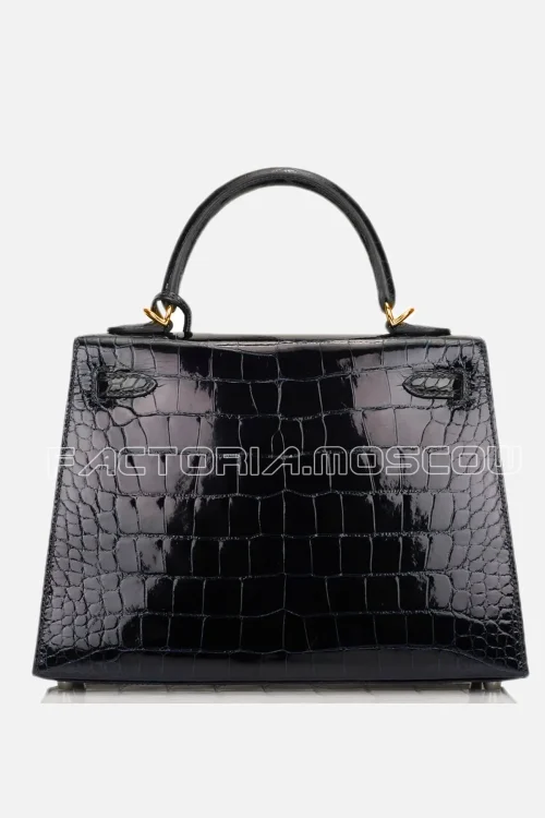 Alligator lisse