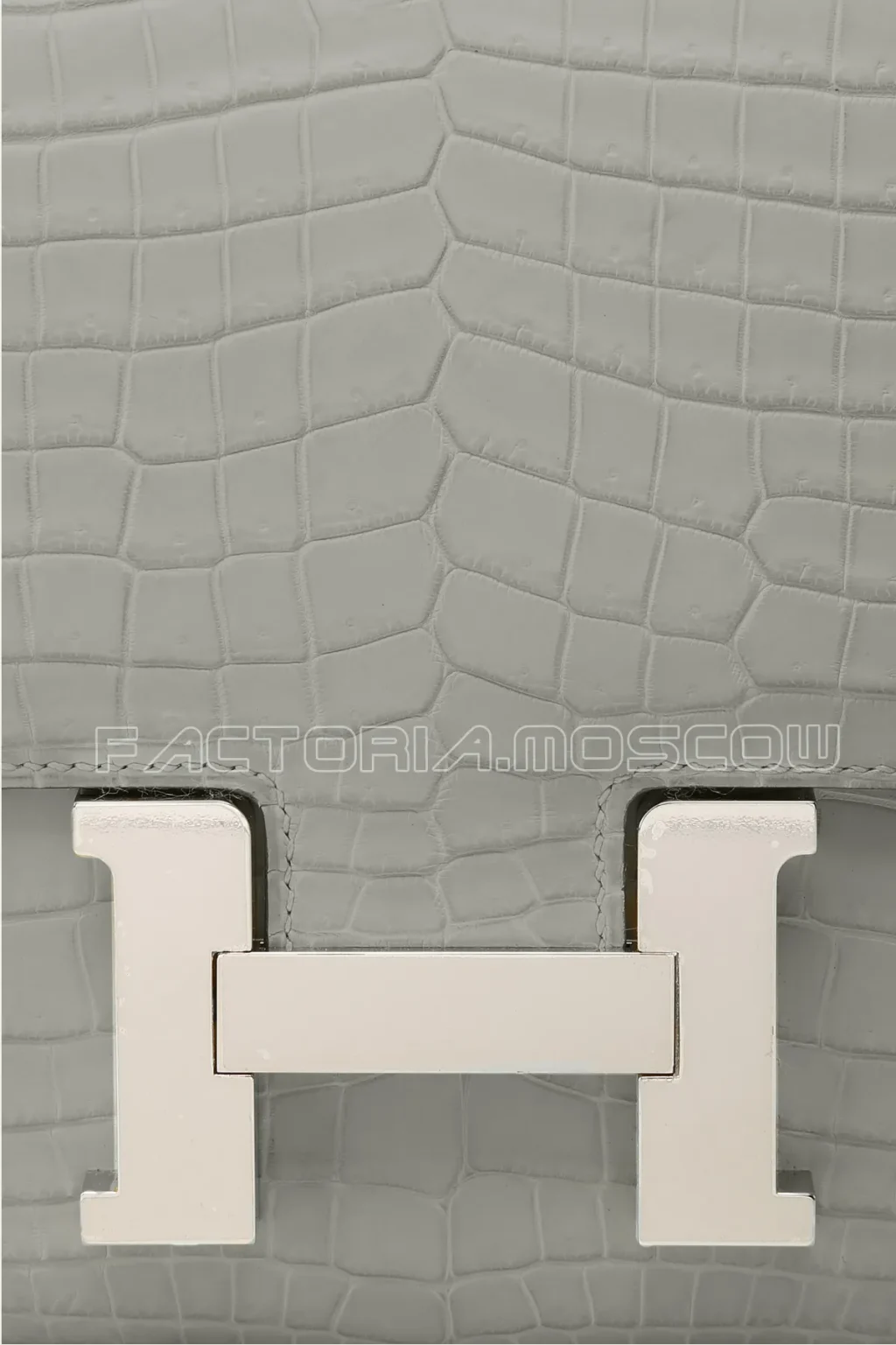 Crocodile Niloticus Matte
