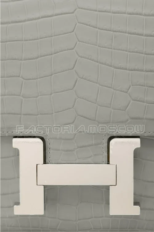 Crocodile Niloticus Matte