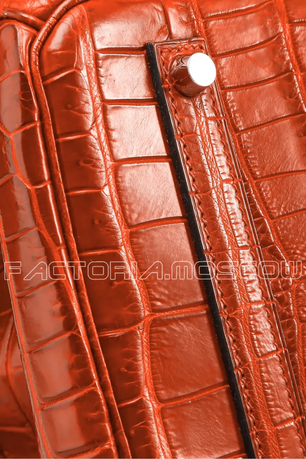 Crocodile Niloticus matte