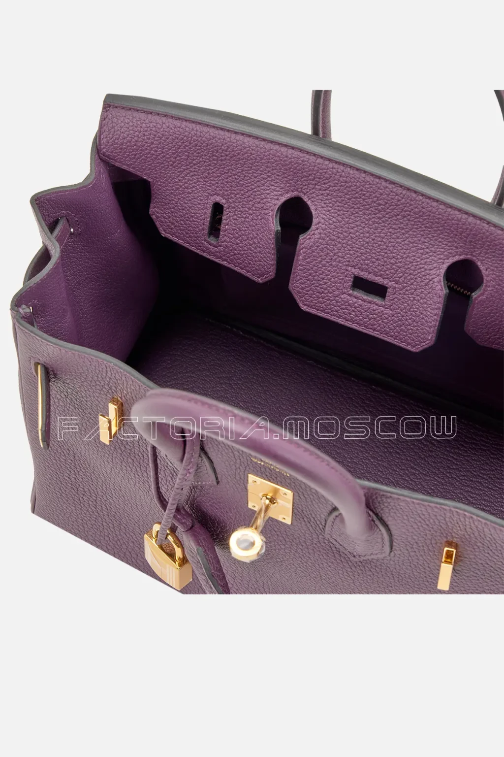 Hermès Birkin 25 Togo Colour Cassis GHW