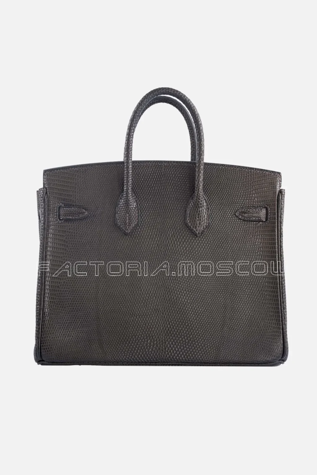 Hermes Birkin 25 Matte Ebene Salvator Lizard GHW