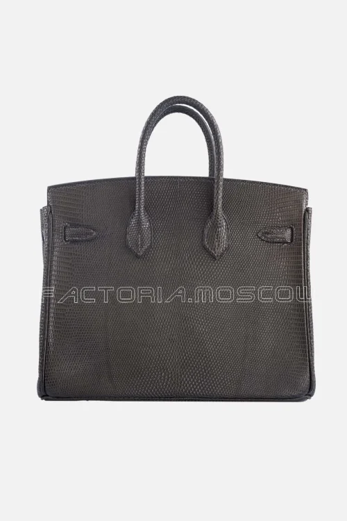 Hermes Birkin 25 Matte Ebene Salvator Lizard GHW