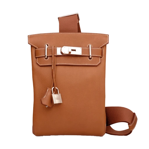 Hermès Kelly Pochette Ombre Salvator Lizard GHW