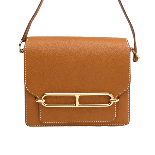 Hermès Kelly Pochette Ombre Salvator Lizard GHW