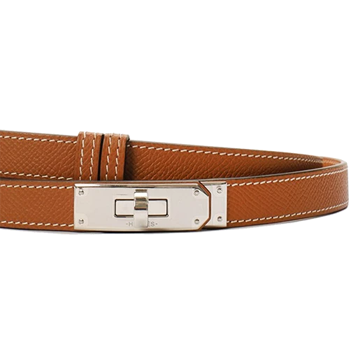 Hermès Kelly Pochette Ombre Salvator Lizard GHW