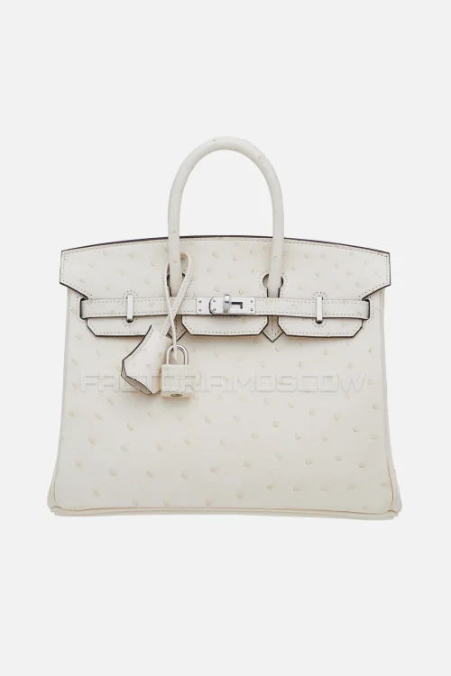 Hermes Birkin 25 Nata Ostrich PHW