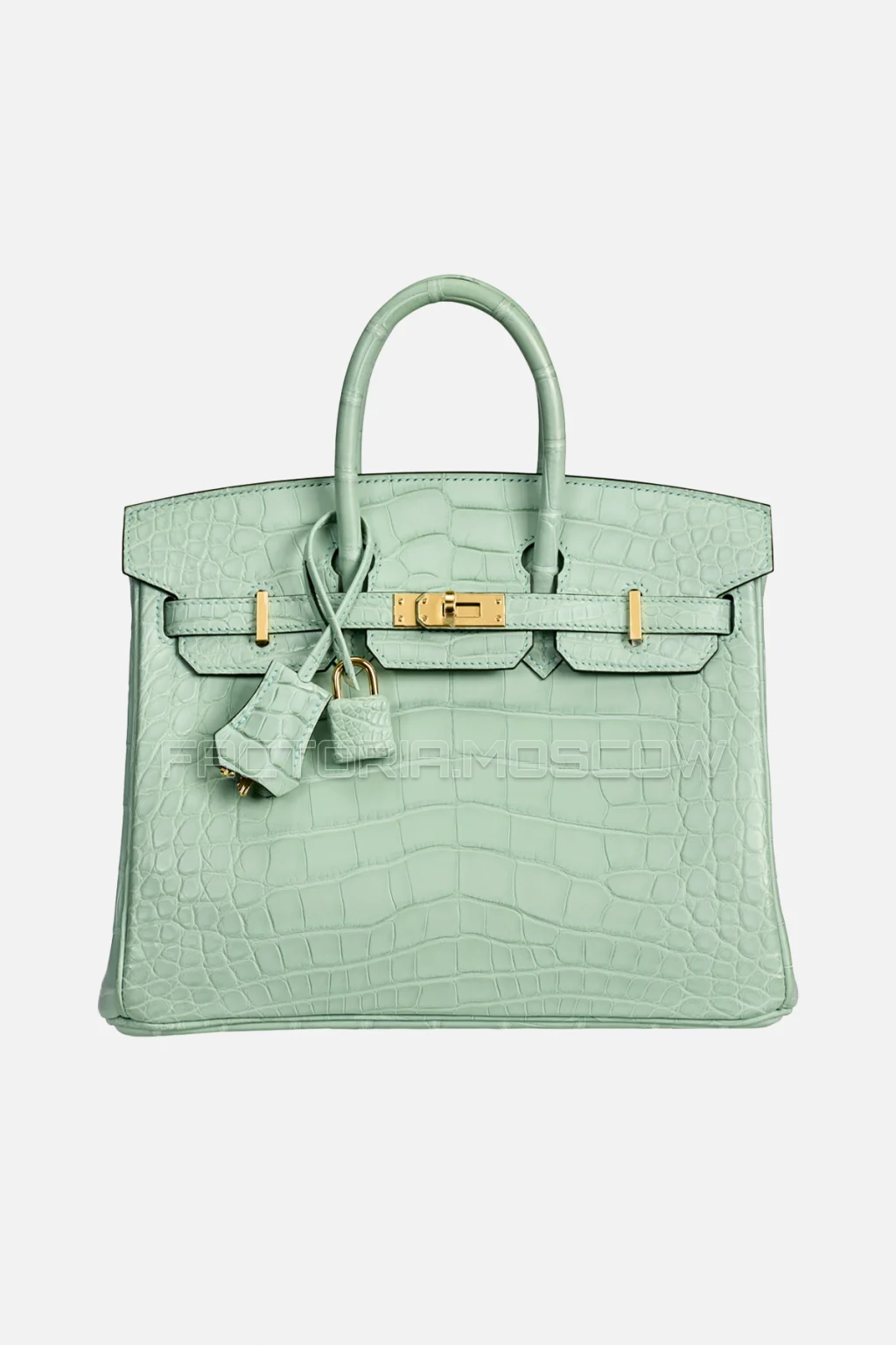 Hermes Birkin 25 Alligator Matte Vert Déau GHW