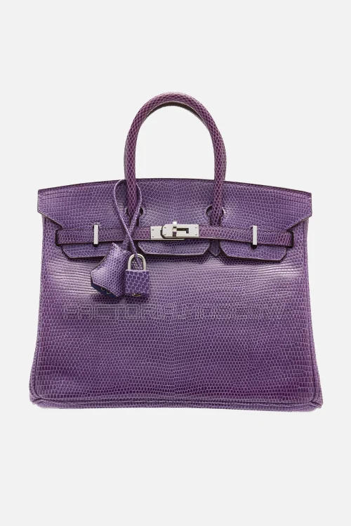 Hermes Birkin 25 Shiny Violet Niloticus Lizard PHW
