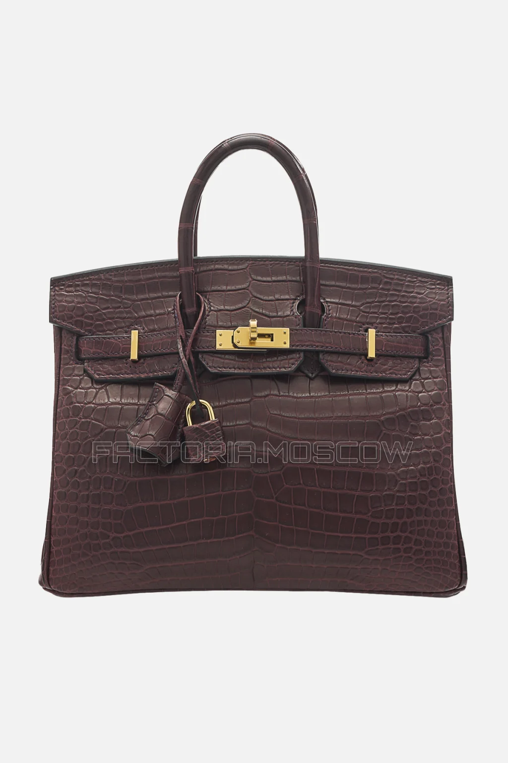Hermes Birkin 25 Matte Rouge Sellier Porosus Crocodile GHW
