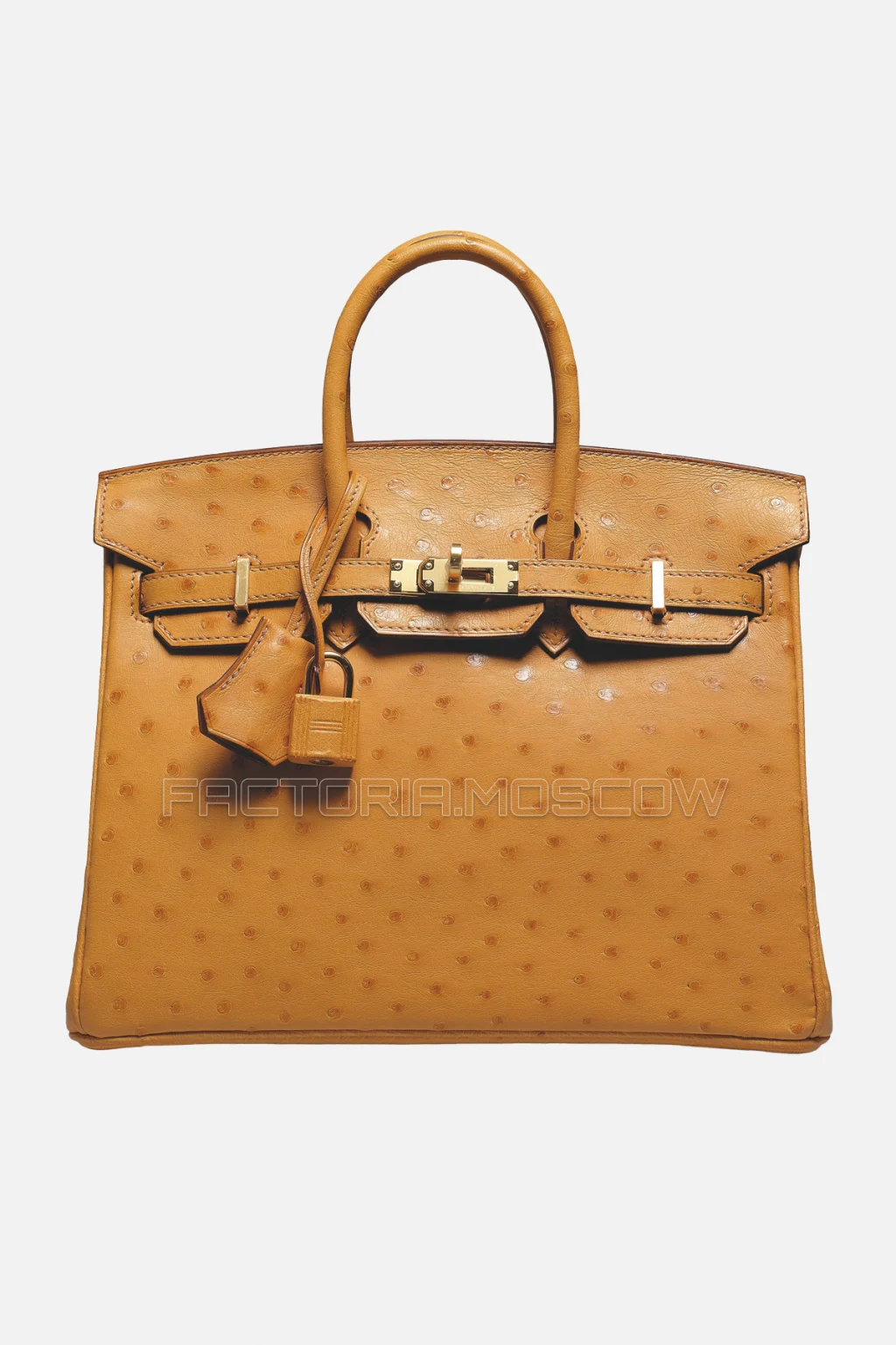 Hermes Birkin 25 Saffron Ostrich GHW