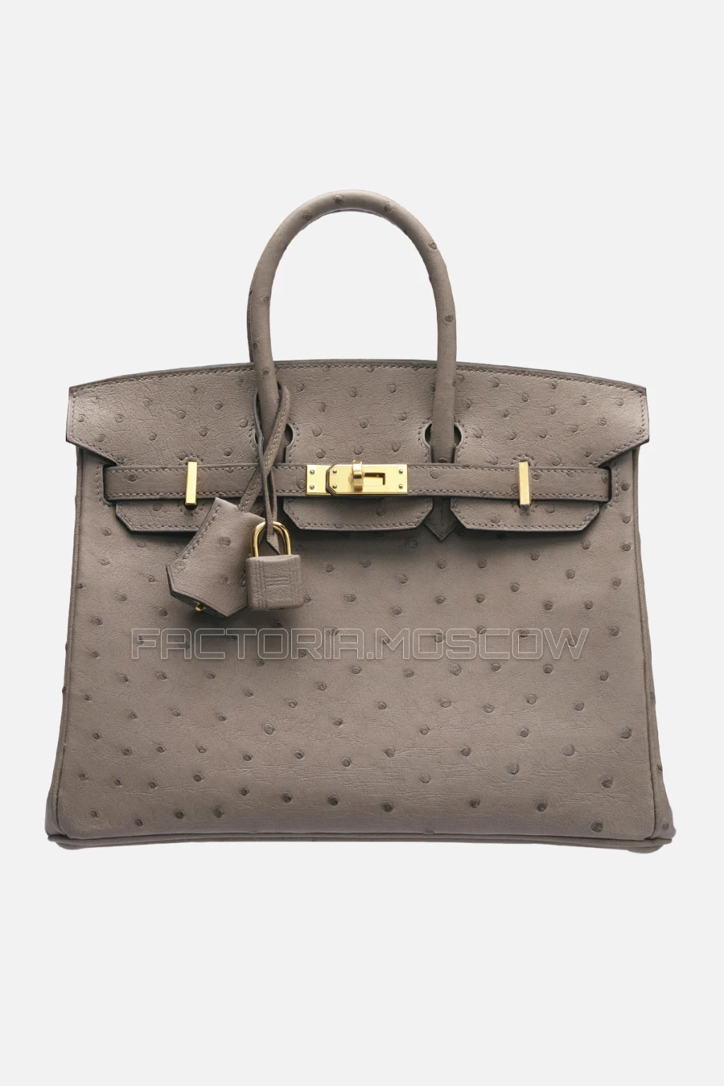 Hermes Birkin 25 Gris Tourterelle Ostrich GHW