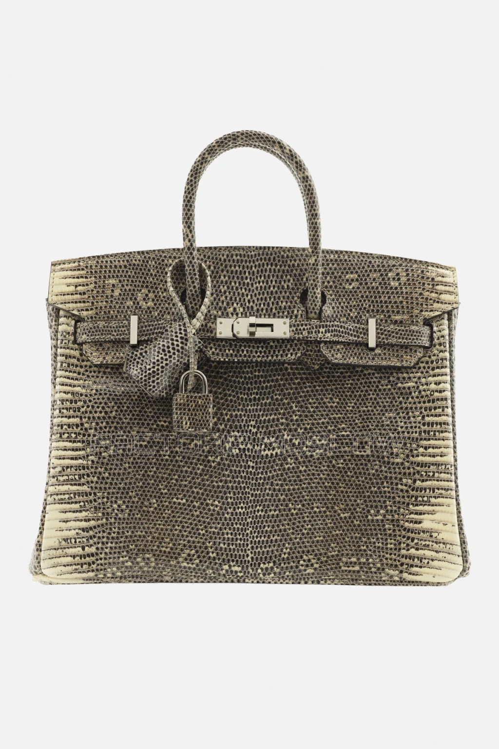 Hermes Birkin 25 Shiny Salvator Lizard Ombre PHW