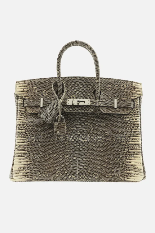 Hermes Birkin 25 Shiny Salvator Lizard Ombre PHW