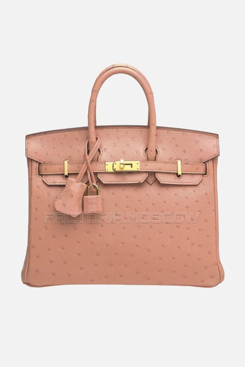 Hermes Birkin 25 Terre Cuite Ostrich GHW
