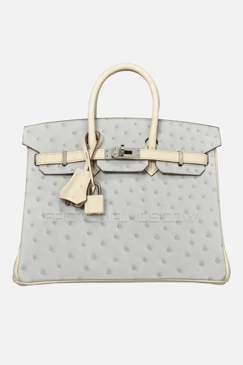 Hermes Birkin 25 Gris Perle/Beton Ostrich PHW