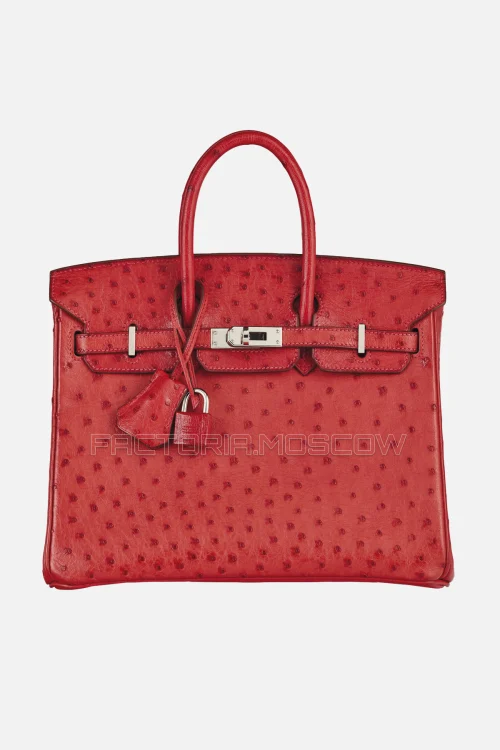 Hermes Birkin 25 Rouge Vif Ostrich PHW