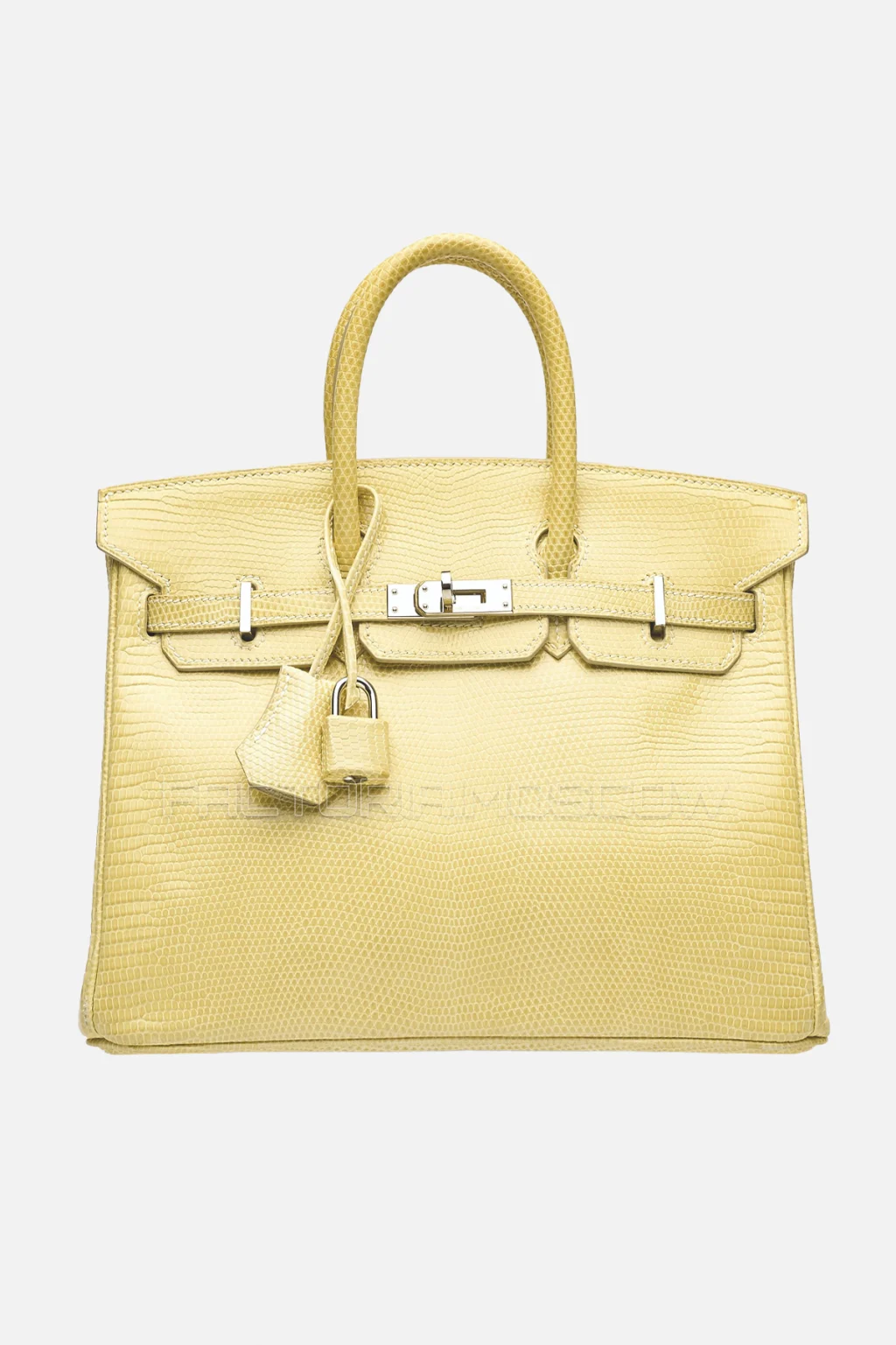 Hermes Birkin 25 Shiny Parchemin Niloticus Lizard PHW