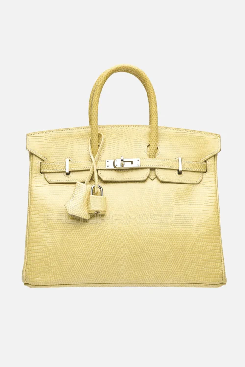 Hermes Birkin 25 Shiny Parchemin Niloticus Lizard PHW