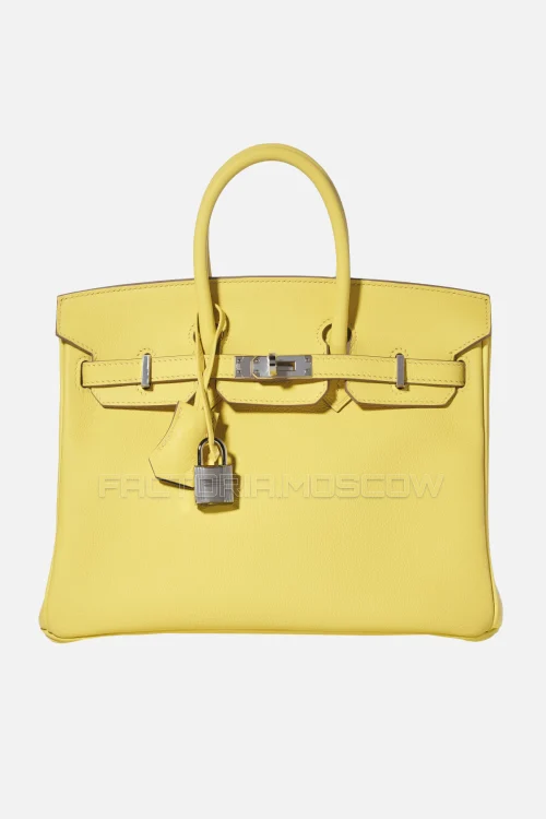 Hermes Birkin 25 Evercolor Lime/Bleu Zanzibar PHW