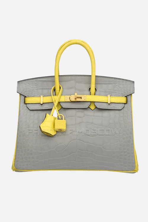 Hermes Birkin 25 Matte Gris Perle/Mimosa Alligator GHW