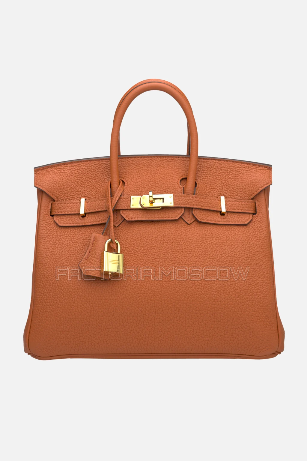 Hermes Birkin 25 Terre Battue Togo GHW