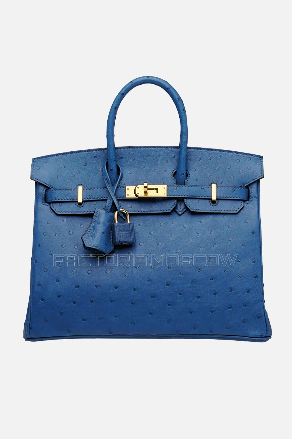 Hermes Birkin 25 Ostrich Deep Blue GHW