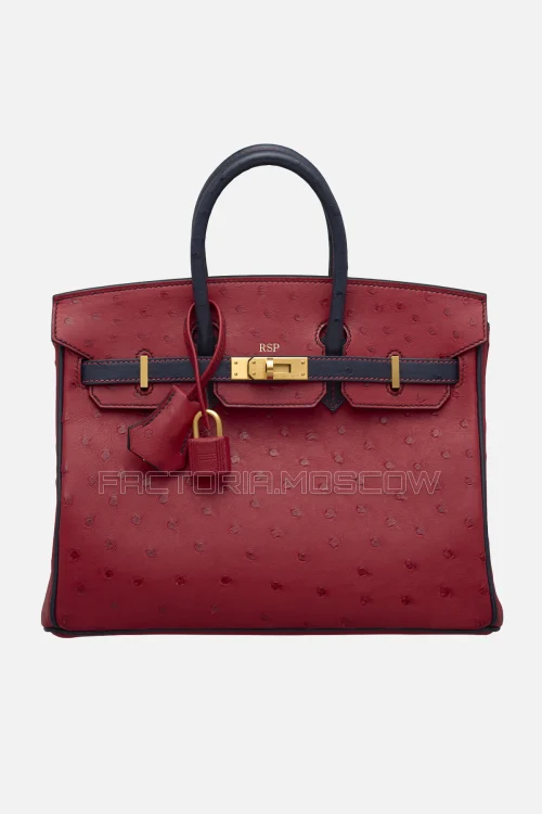 Hermes HSS Birkin 25 Ostrich Rouge Vif/Bleu Indigo GHW