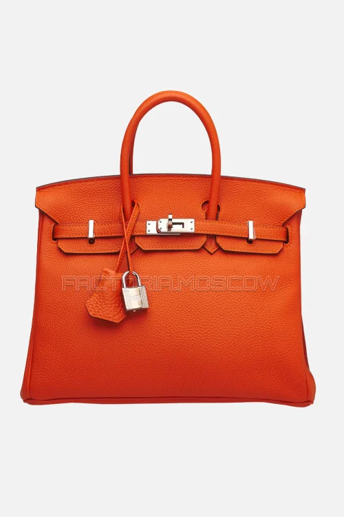 Hermes Birkin 25 Togo Feu PHW