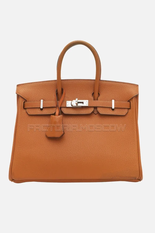 Hermes Birkin 25 Chevre Potiron PHW