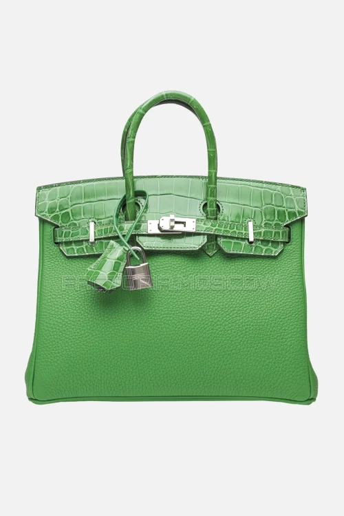 Hermes Birkin Touch 25 Shiny Cactus Niloticus Crocodile/Bambou Togo PHW