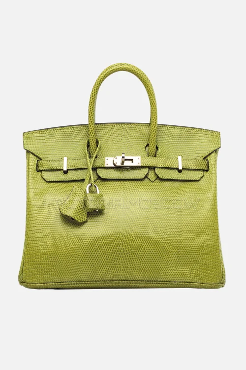Hermes Birkin 25 Shiny Vert Anis Niloticus Lizard PHW