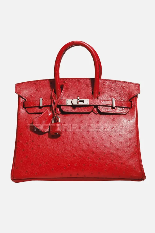 Hermes Birkin 25 Ostrich Rouge Vif PHW