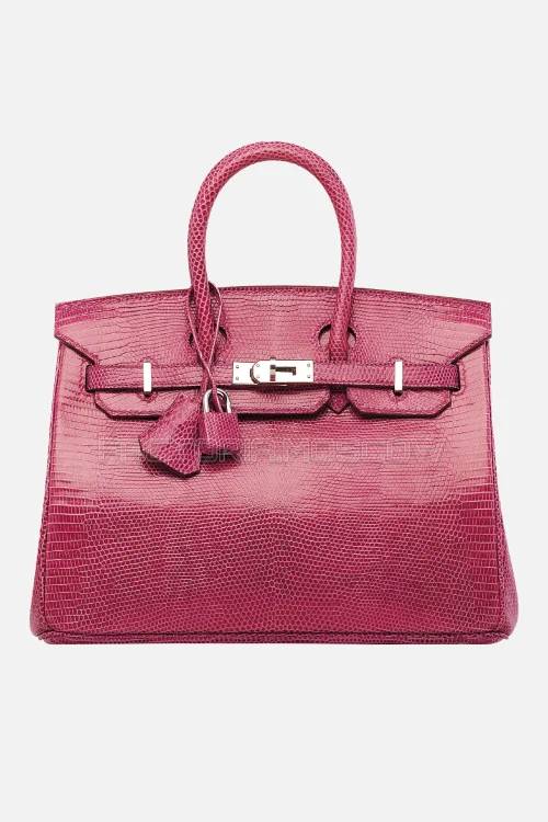Hermes Birkin 25 Shiny Fuchsia Salvator Lizard PHW