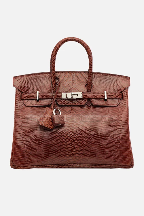 Hermes Birkin 25 Shiny Etrusque Lizard PHW