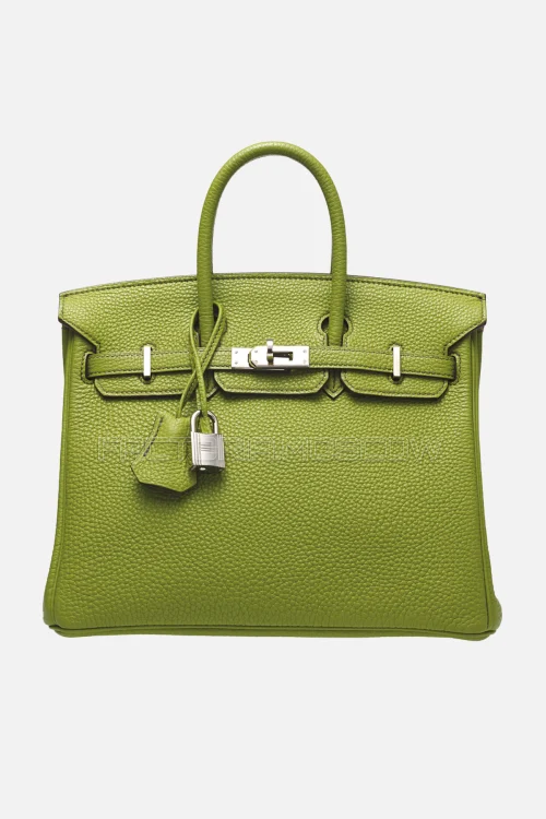 Hermes Birkin 25 Togo Vert Anis PHW