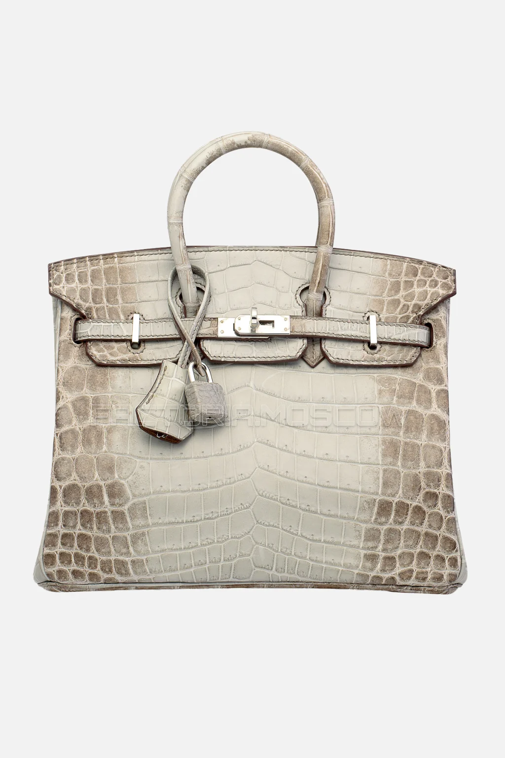 Hermes Birkin 25 Matte Gris Cendre Himalaya Niloticus Crocodile PHW