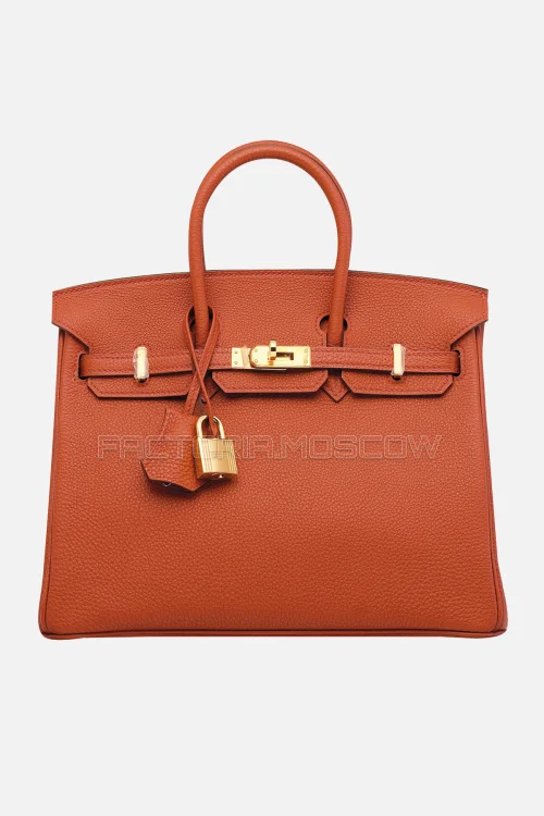 Hermes Birkin 25 Togo Brique GHW