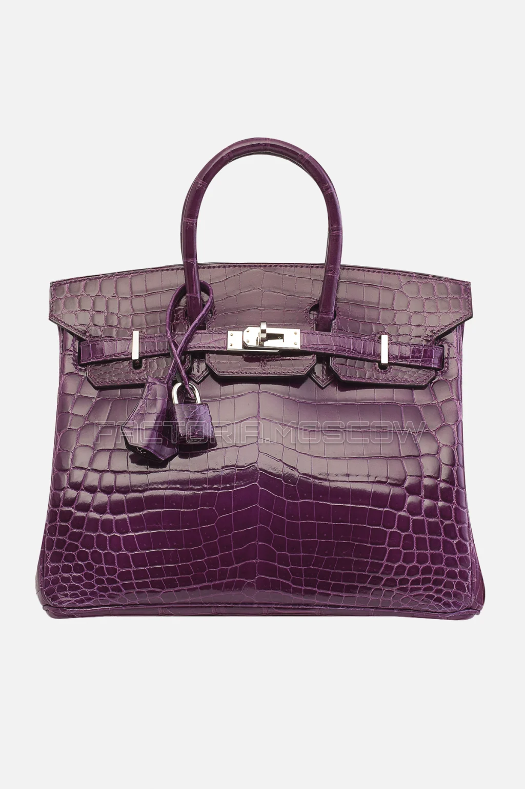 Hermes Birkin 25 Shiny Amethyste Niloticus Crocodile PHW