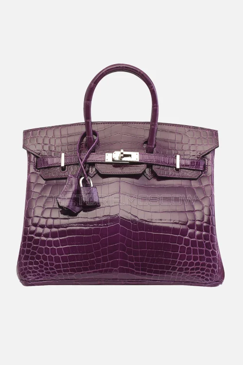 Hermes Birkin 25 Shiny Amethyste Niloticus Crocodile PHW