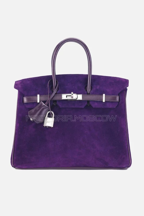 Hermes Birkin 25 Veau Doblis/Veau Box Raisin PHW